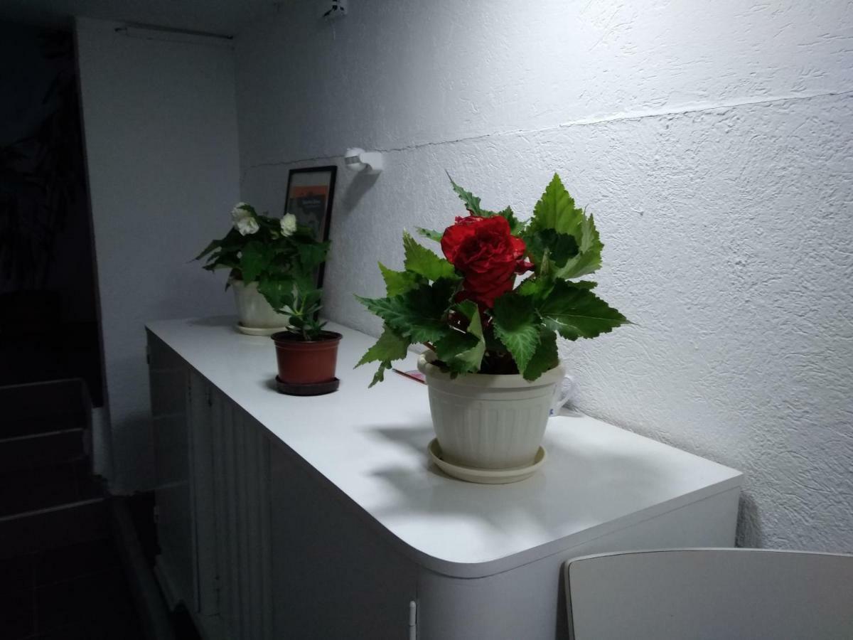 Garmani Apartment Vrnjacka Banja Ngoại thất bức ảnh